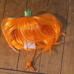 Orange Pumpkin Wig with Green Stem For Dogs